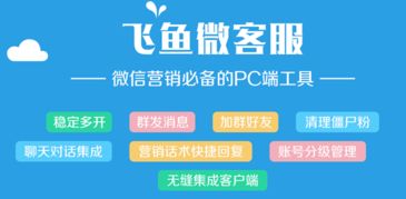 飛魚微客服v1.09 免費(fèi)微信營銷軟件的功能與下載指南